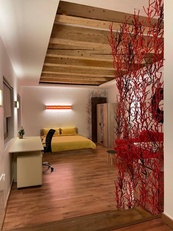 New Workspace Studio Savoya9 Self Check In Old City Center Timisoara Exterior foto
